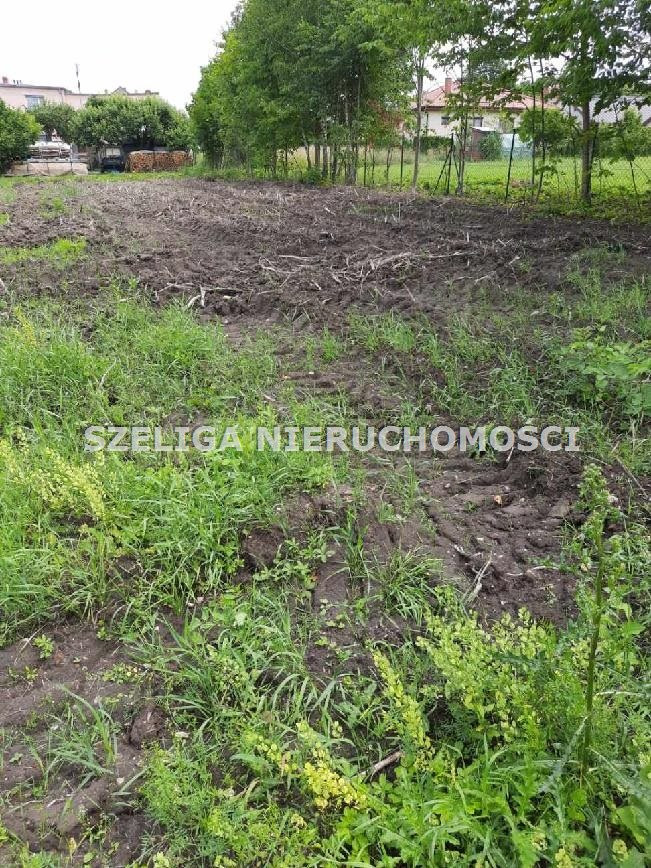 SIEROTY, DZIAŁKA BUDOWLANA - Widok 2