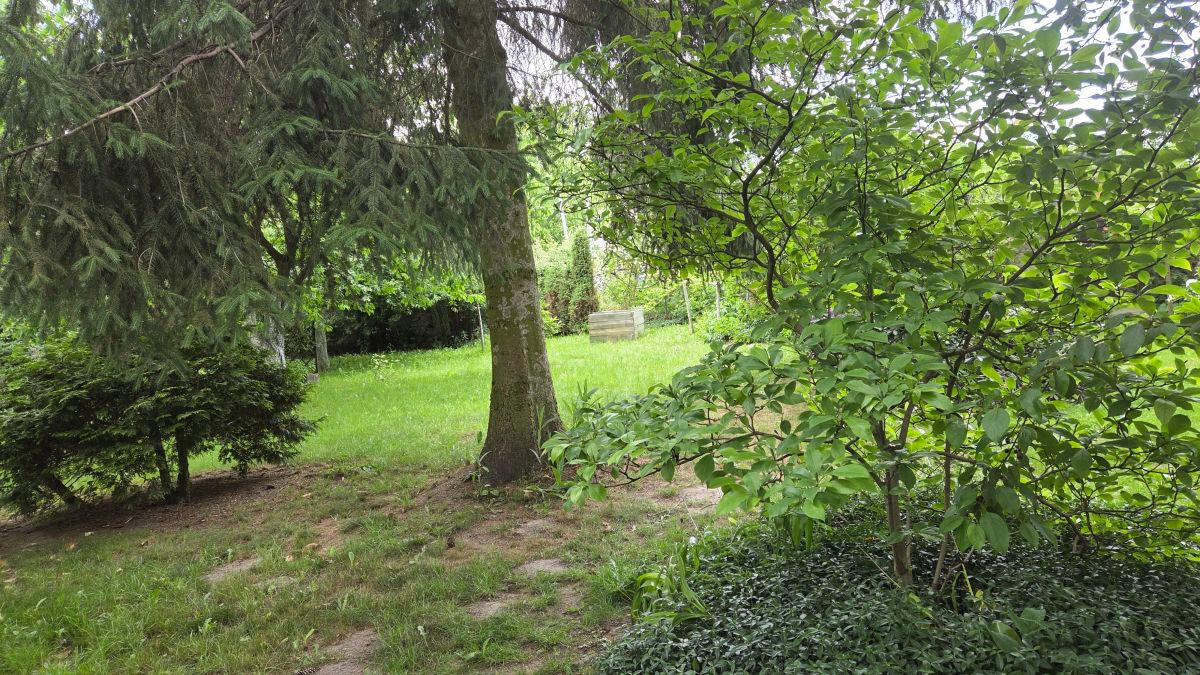 Grunt na sprzedaż, Wojny, 17106.00 m² - Widok 3