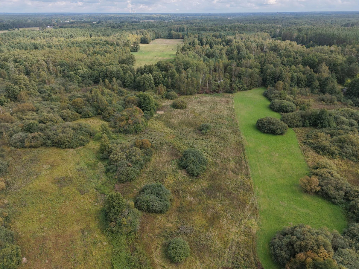 Działka 1100 m² w otoczeniu lasu-zabudowa jednorodzinna-40 minut od Radomia - Widok 4