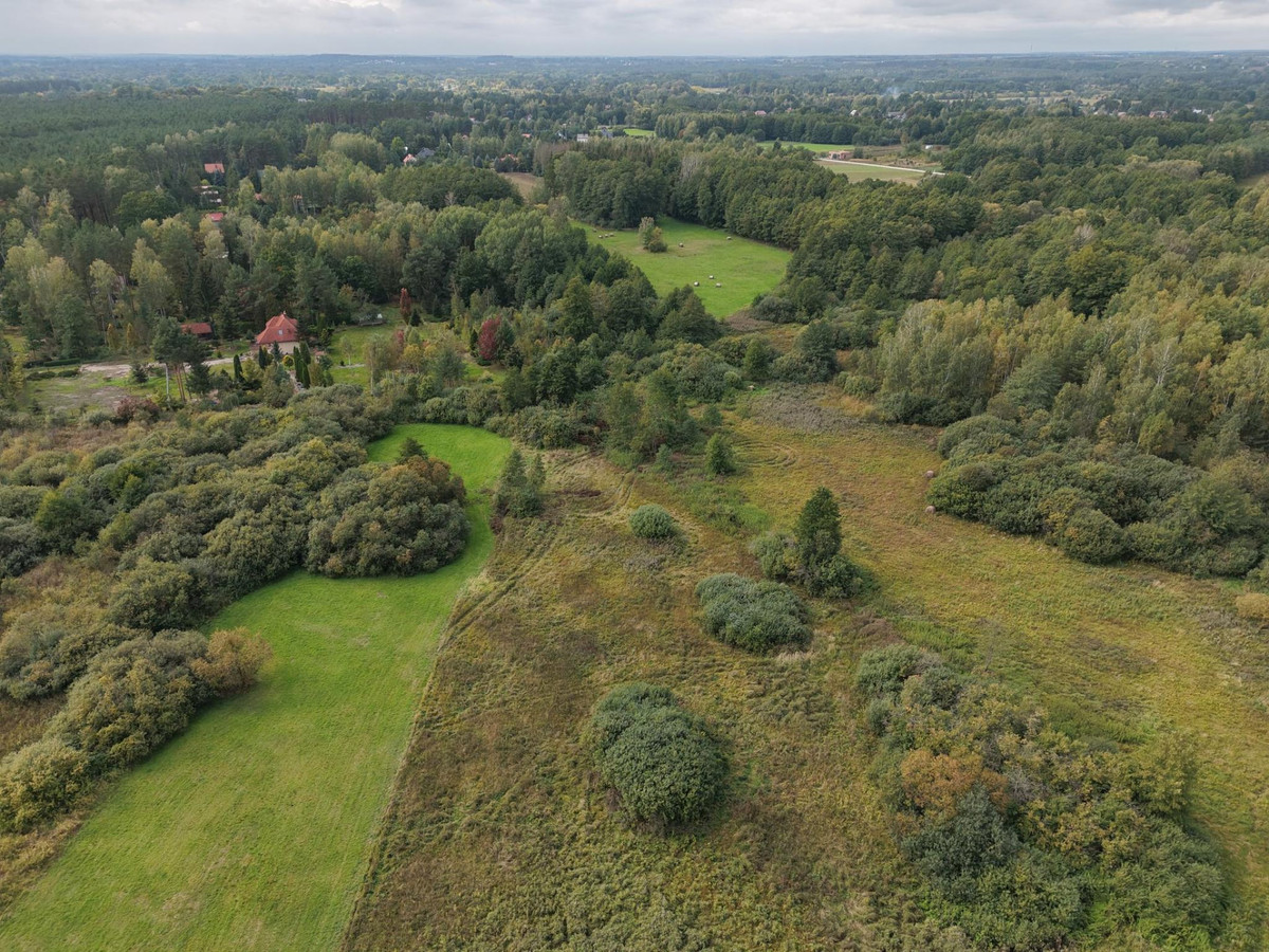 Działka 1100 m² w otoczeniu lasu-zabudowa jednorodzinna-40 minut od Radomia - Widok 2