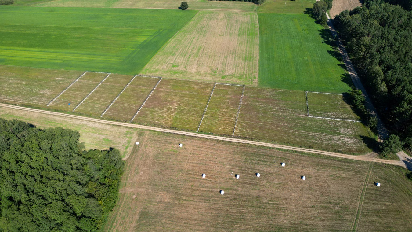 Terreny, 1169 m²