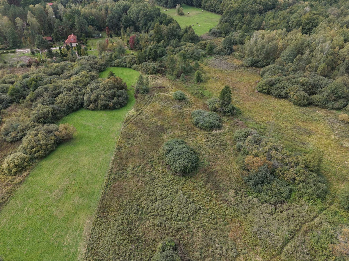 Działka 1100 m² w otoczeniu lasu-zabudowa jednorodzinna-40 minut od Radomia - Widok 3
