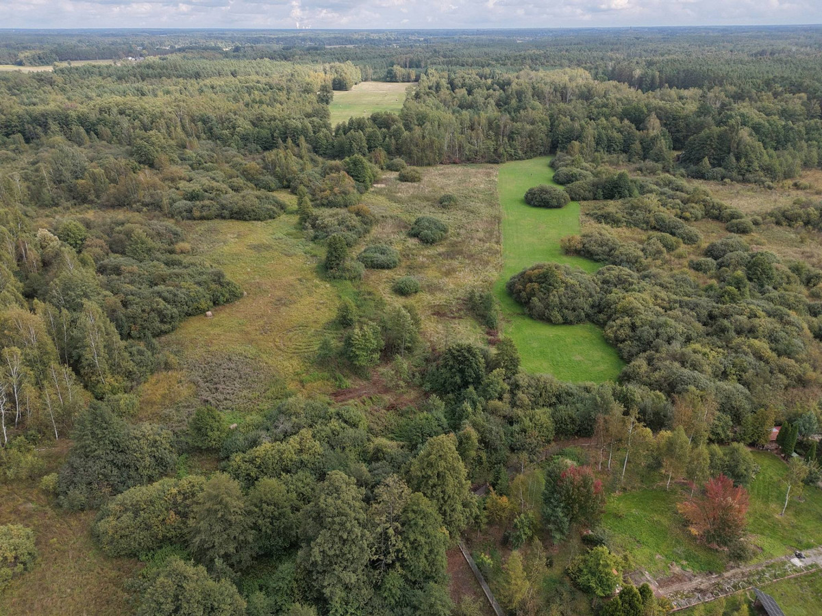 Osada Brzeźce-działka w otoczeni lasu-1900 m²-zabudowa jednorodzinna - Widok 4