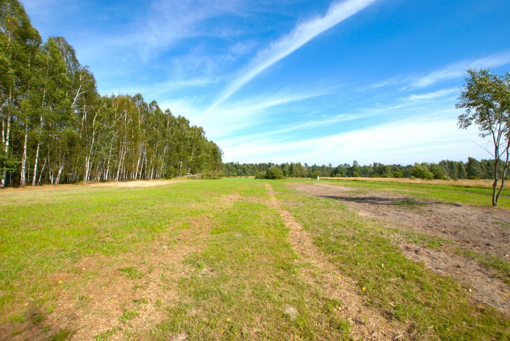 Działka budowlana przy lesie 1251 m², Trzemosna - Więcej