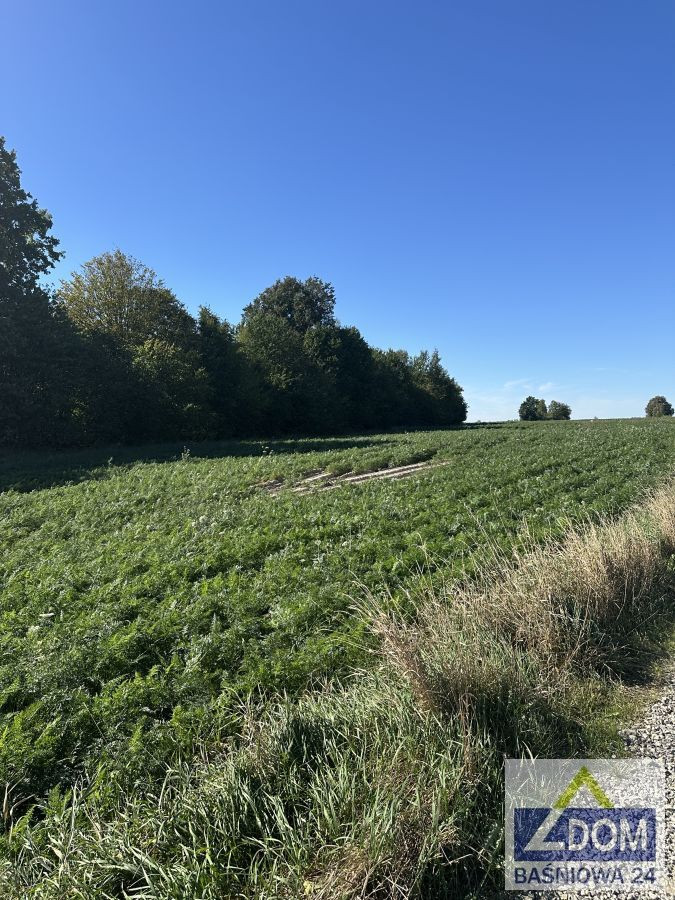 gm.Jastków działka ze starodrzewem - Widok 6