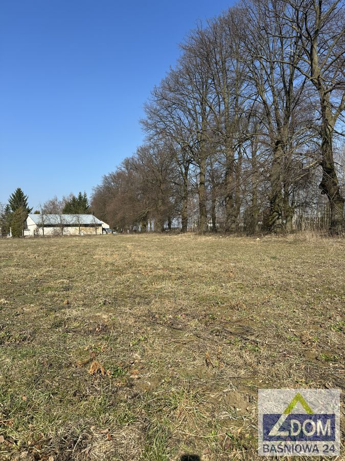 Nasutów - działka budowlana przy Al.Lipowej - Widok 3