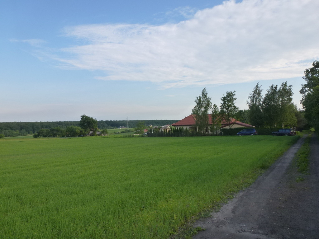 Kazimierzówka - działka budowlana MN/U - Widok 4