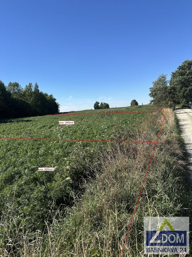 gm.Jastków działka ze starodrzewem - Widok 2