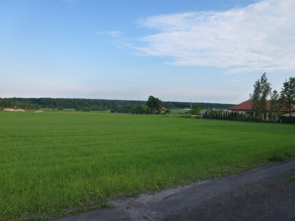 Kazimierzówka - działka budowlana MN/U - Widok 5