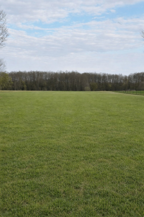 DZIAŁKA BUDOWLANA 2621 m² – Bombla, gmina Korycin | Duża działka idealna pod dom - Widok 2