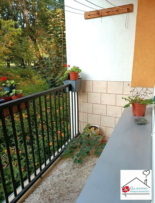 Centrum. 2 pokoje. Oddzielna kuchnia. Cegła