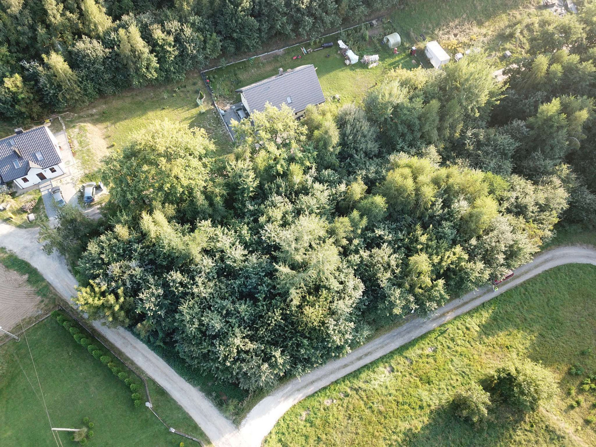 Działka budowlana w spokojnej, zielonej okolicy. Zagórze - gm. Niepołomice - Widok 2