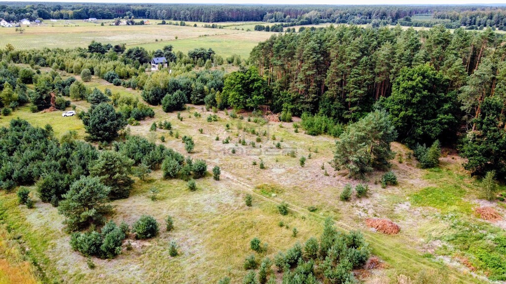 Wymarzony dom w naturze – działka w okazyjnej ceni - Widok 2