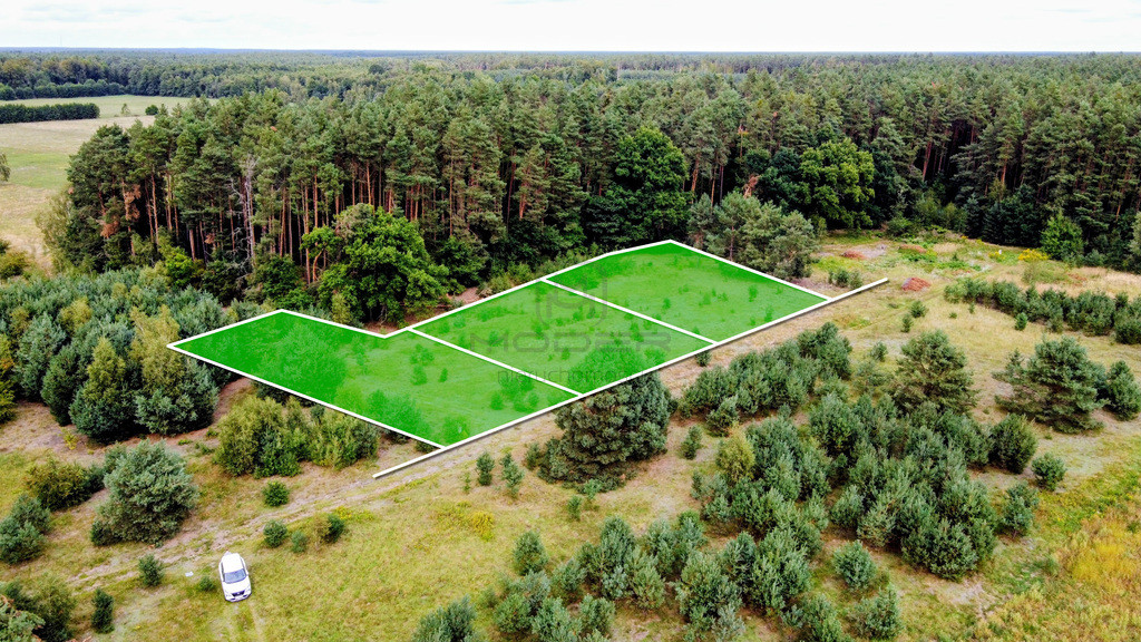 Wymarzony dom w naturze – działka w okazyjnej ceni - Widok 4