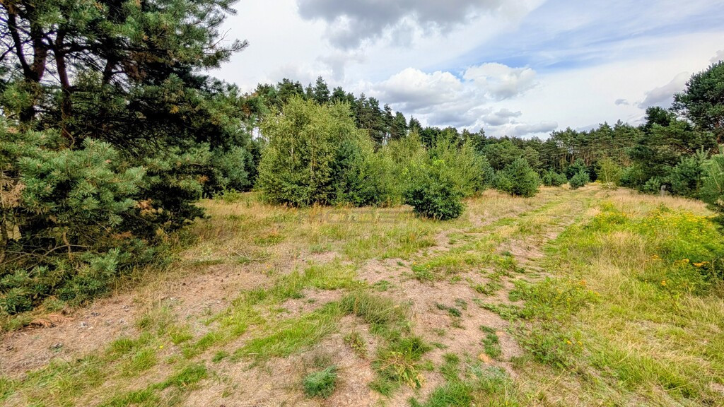 Wymarzony dom w naturze – działka w okazyjnej ceni - Więcej