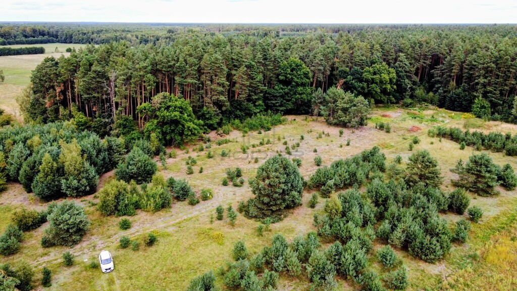 Wymarzony dom w naturze – działka w okazyjnej ceni - Widok 5