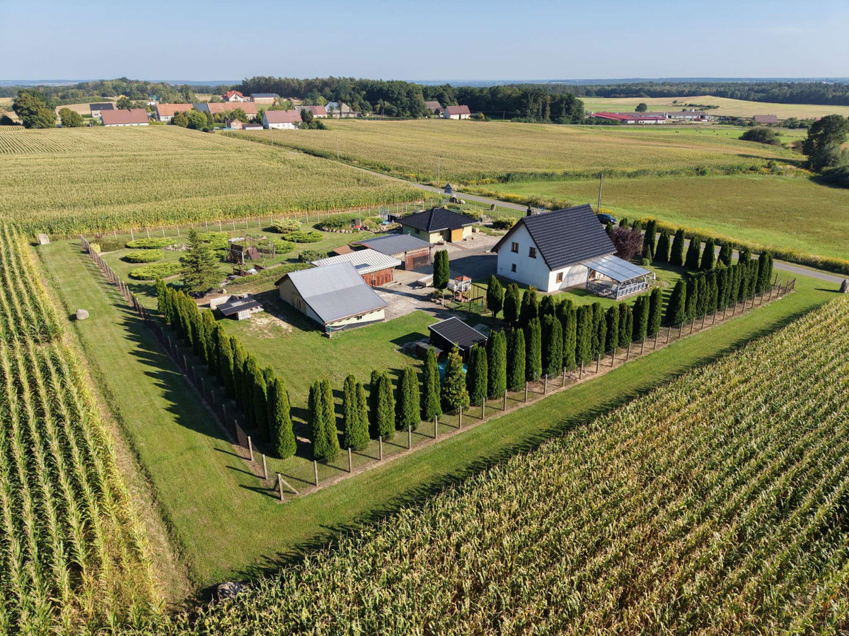 Dom – Międzybórz, Ose - Więcej