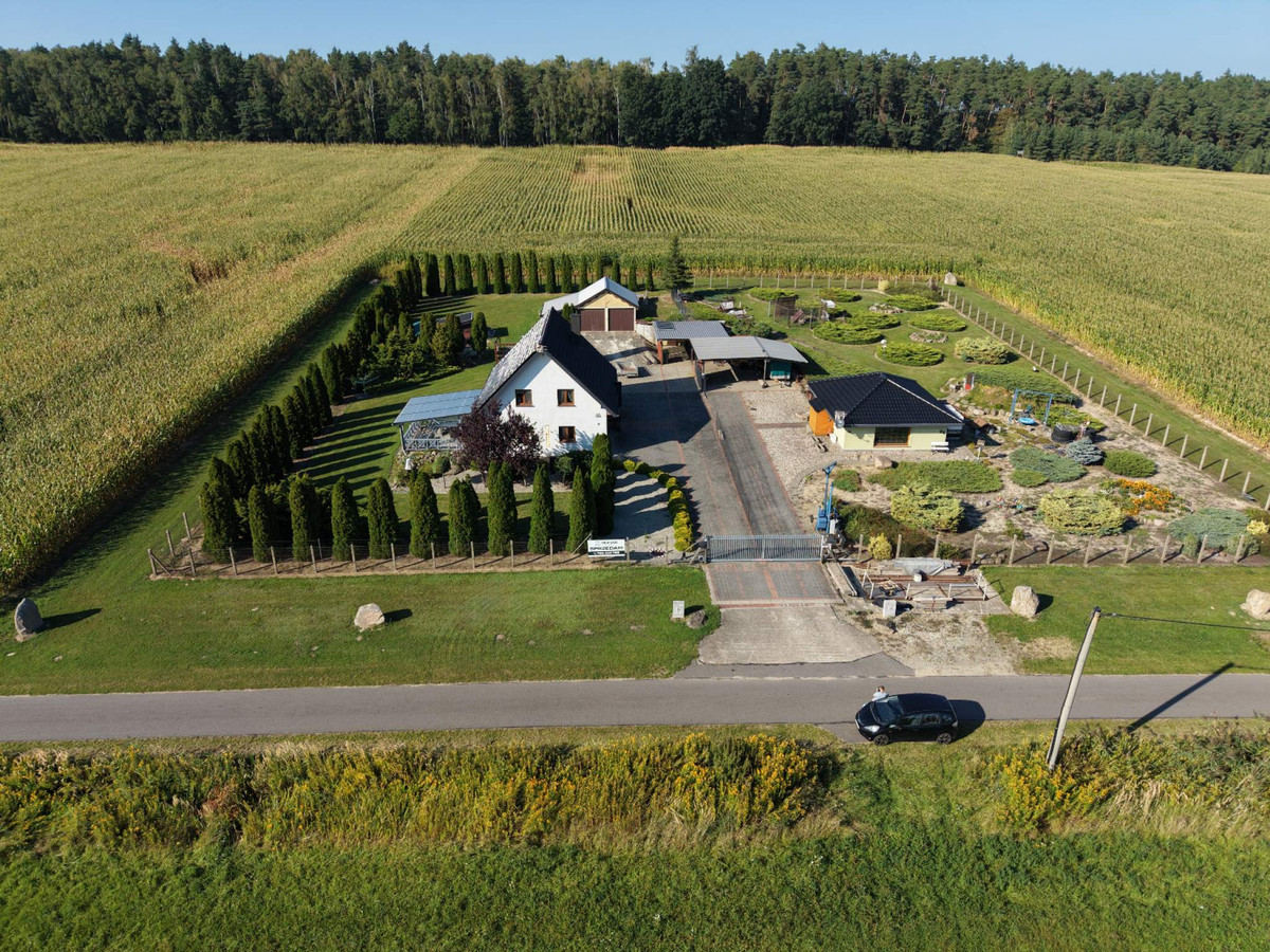 Dom – Międzybórz, Ose - Widok 5