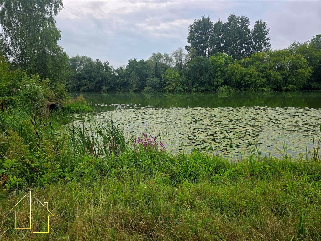 Namas, 90 m², sklypas 2600 m²