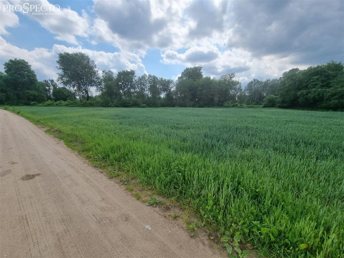 Działka letniskowa Białobrzegi - Widok 2