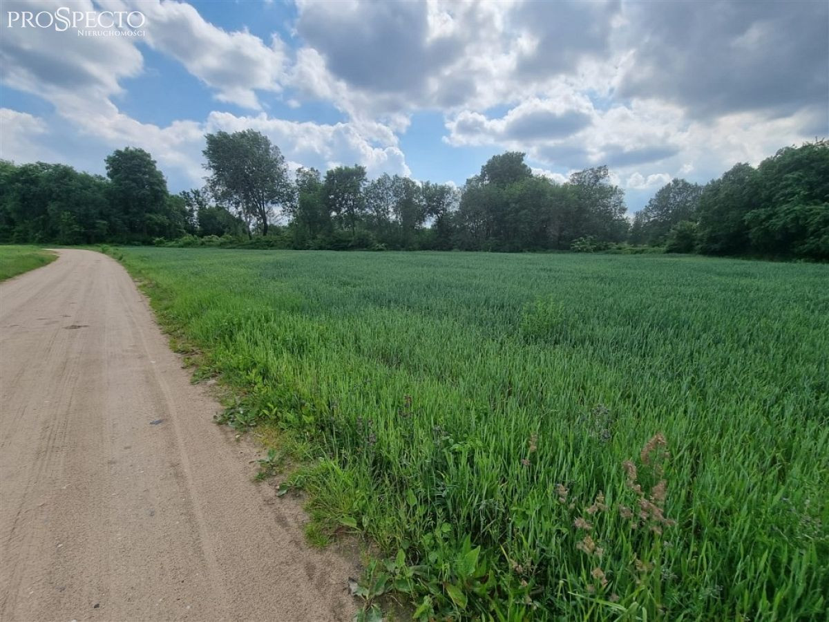 Działka letniskowa Białobrzegi - Widok 3