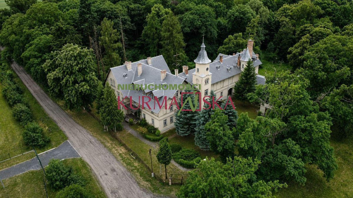 PaŁac Myśliwski Radziwiłłów w Klenicy - Widok 3