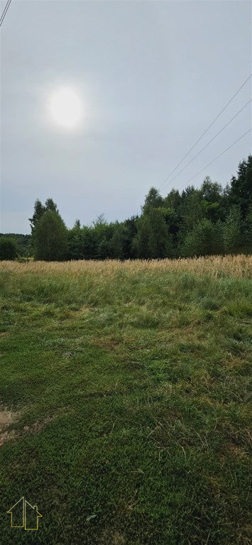 Działka budowlano-leśna Rybnik Boguszowice Stare - Widok 3