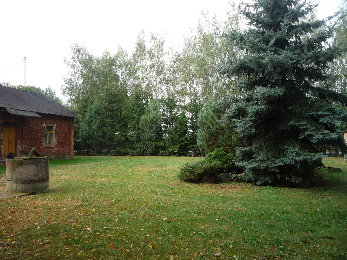 Dom – Krośniewice, Szubsk Duży - Widok 5