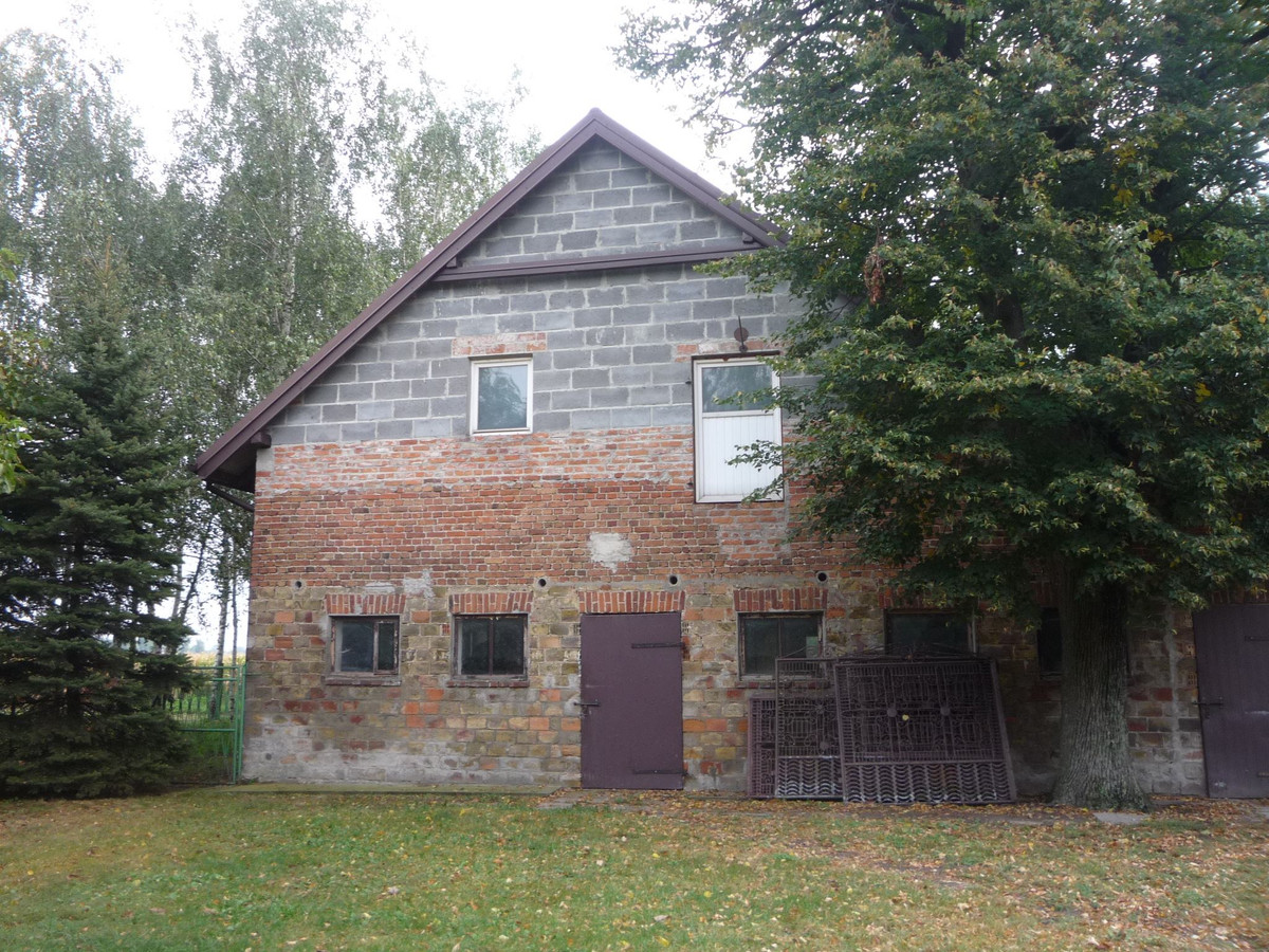 Dom – Krośniewice, Szubsk Duży - Widok 4