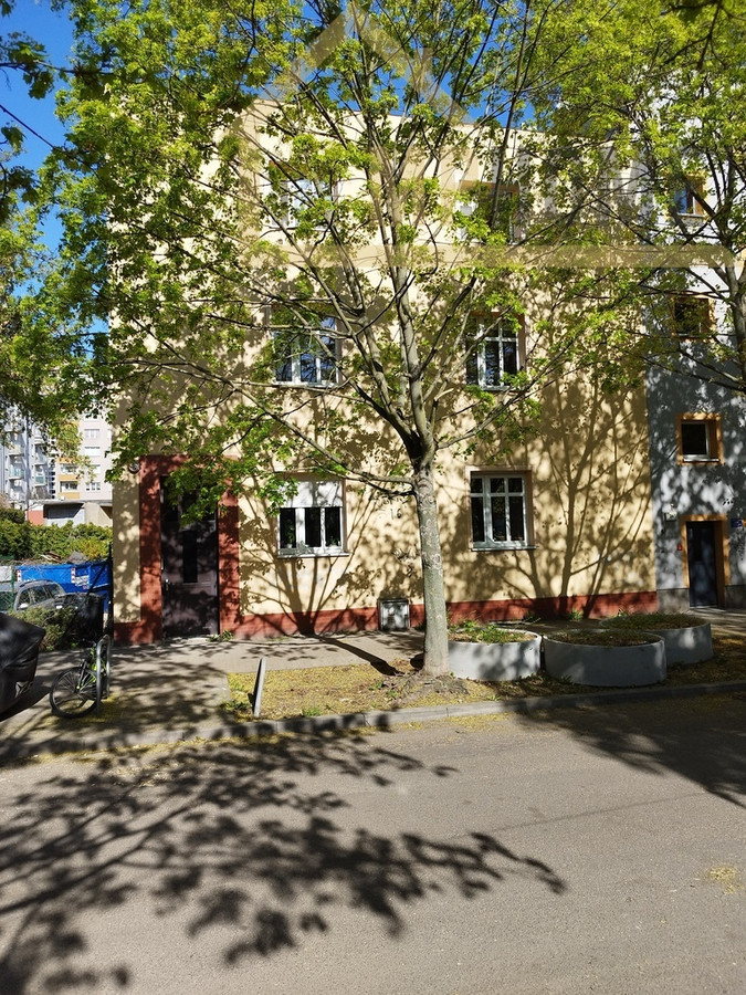 Mieszkanie – Poznań, Grunwald, Łazarz - Widok 5