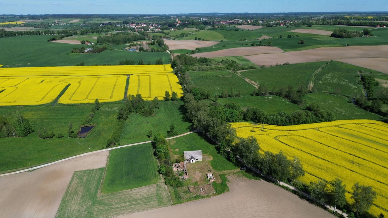 Działka 5200 m² siedlisko Jeziorany-Kolonie - Widok 5