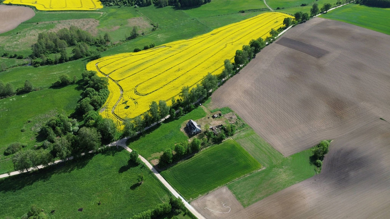 Działka 5200 m² siedlisko Jeziorany-Kolonie - Widok 3