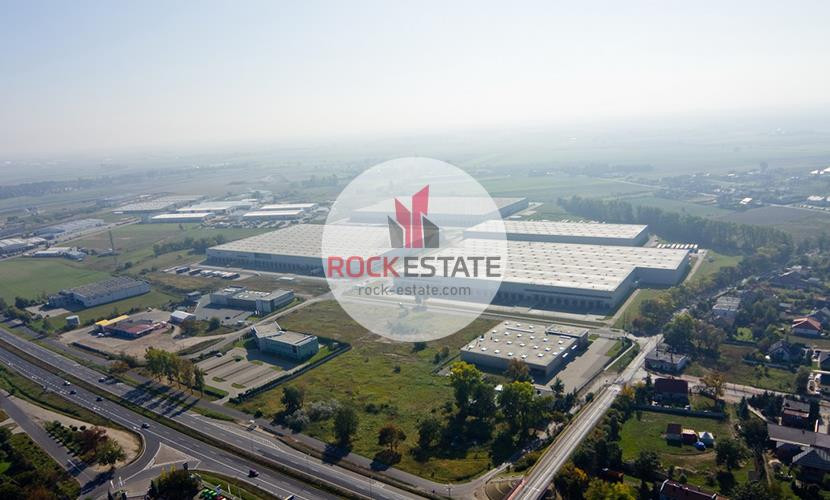 0% prowizji - Magazyn w Sadach 2,6 tyś m2 od zaraz - Widok 4