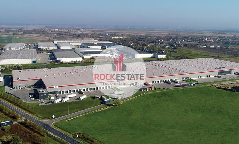 Magazyn 9799 m² Błonie - 0% prowizji - Więcej