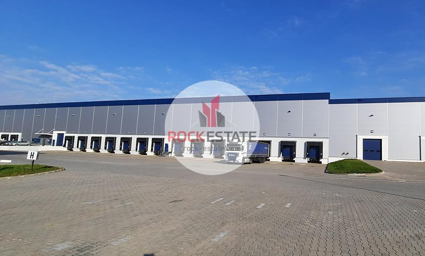 Magazyn w Radonicach 6800 m² - 0% prowizji - Widok 5