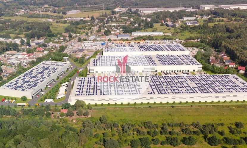 Magazyn Nowy Konik 4252 m² - 0% prowizji - Więcej