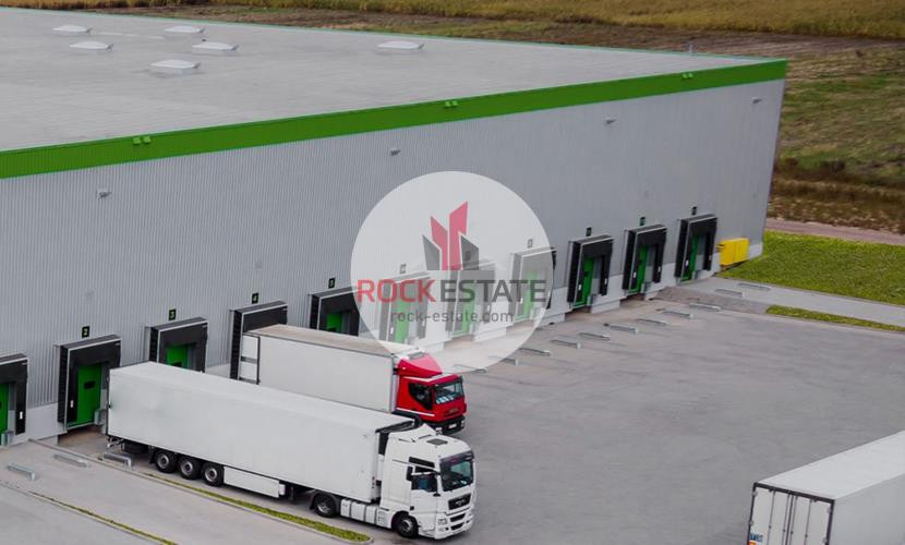 Magazyn 7056 m² z biurem od zaraz - 0% prowizji - Widok 4
