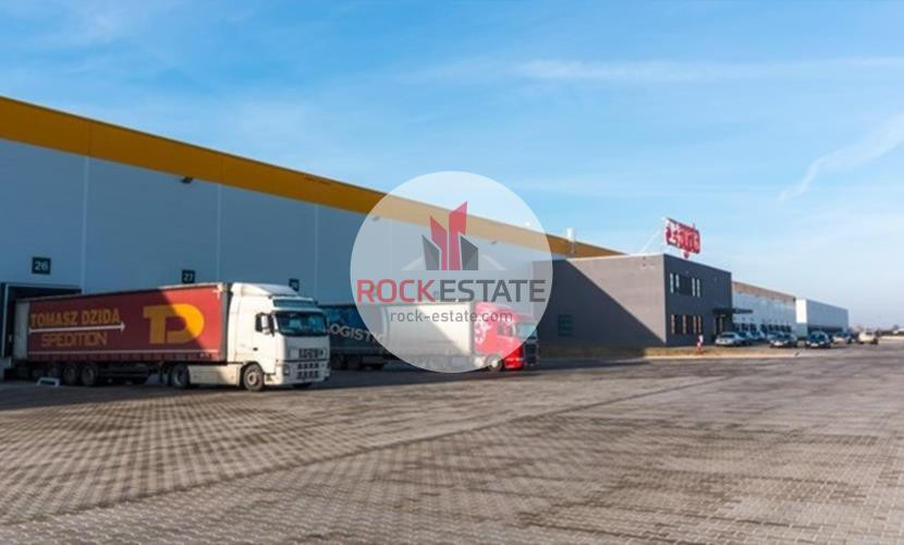 Magazyn 2479 m² Piotrków Trybunalski - 0% prowizji - Widok 5