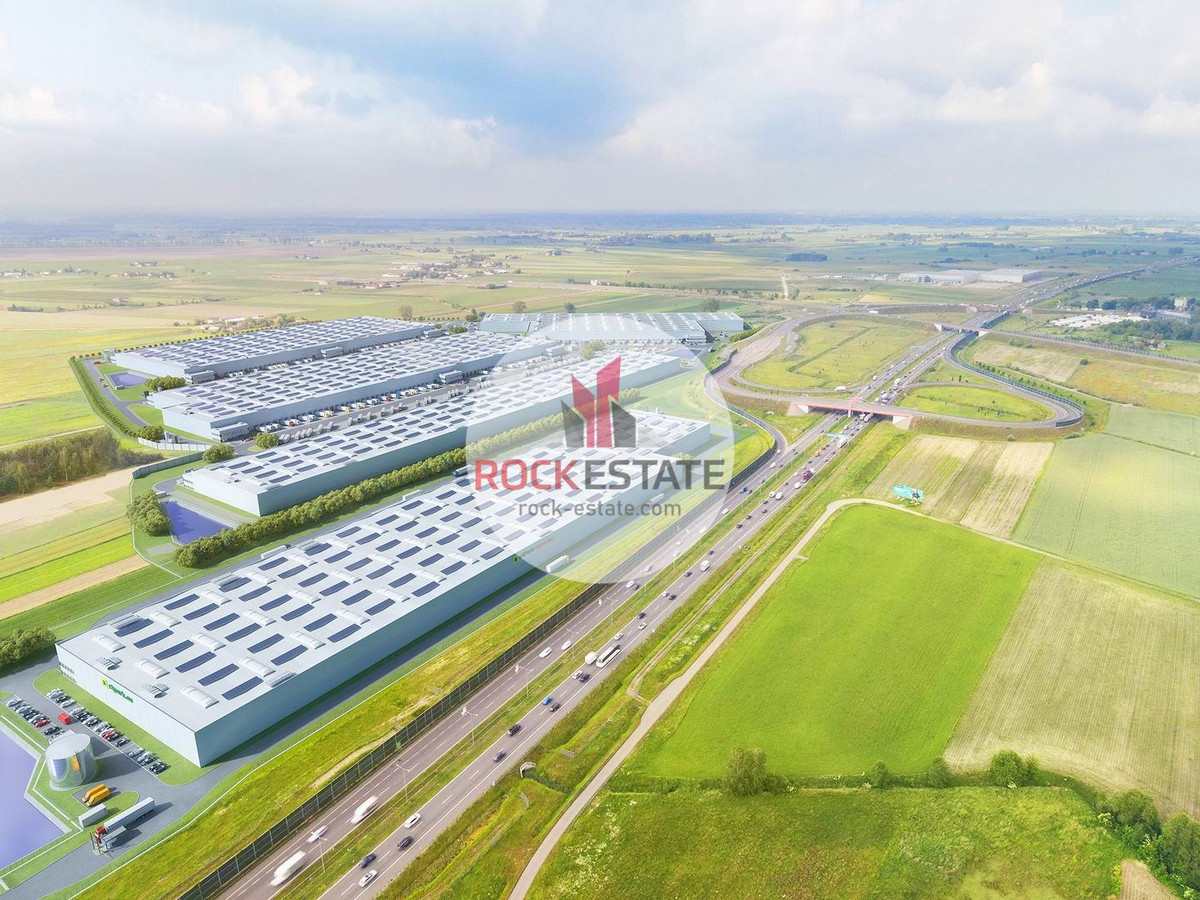 Nowy magazyn 7000 m² na wynajem - 0% prowizji - Widok 2