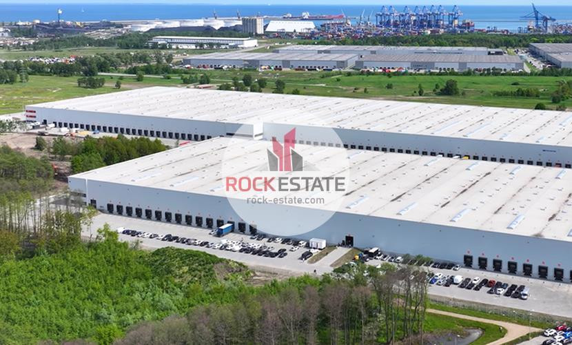 Magazyn 2000 m² od zaraz Gdańsk Port - 0% prowizji - Widok 4