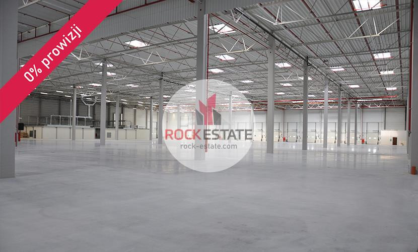 Magazyn 3024 m² z biurem od zaraz - 0% prowizji - Widok 3