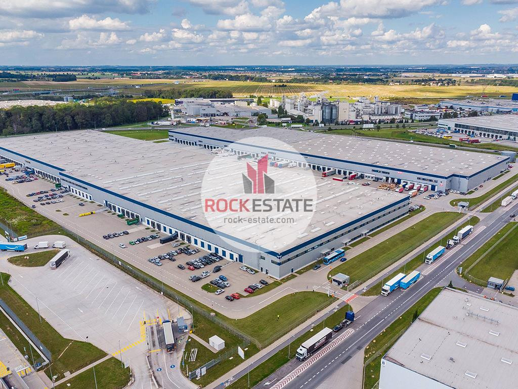 Magazyn pod Wrocławiem 5555 m² od zaraz - 0% prow - Widok 5