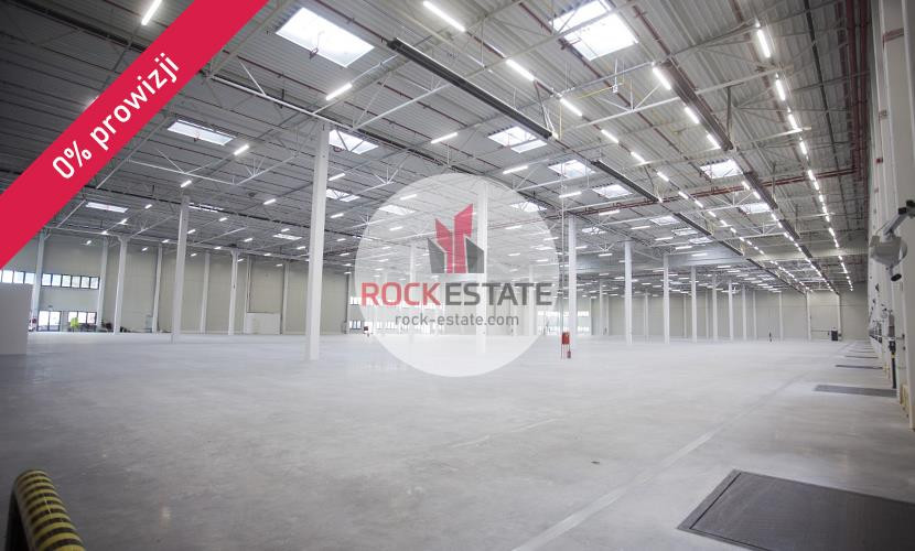Magazyn 7155 m² Dąbrowa Górnicza - 0% prowizji - Więcej