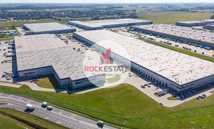 Magazyn pod Wrocławiem 5555 m² od zaraz - 0% prow - Widok 4