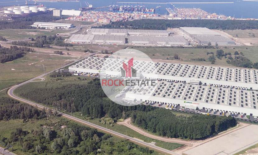 Magazyn 2000 m² od zaraz Gdańsk Port - 0% prowizji - Widok 3