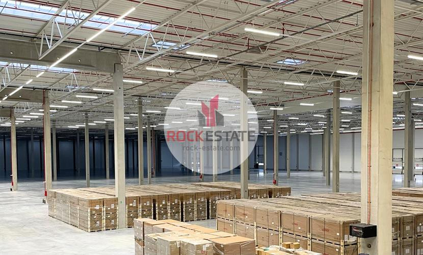 Magazyn 2000 m² od zaraz Gdańsk Port - 0% prowizji - Widok 5