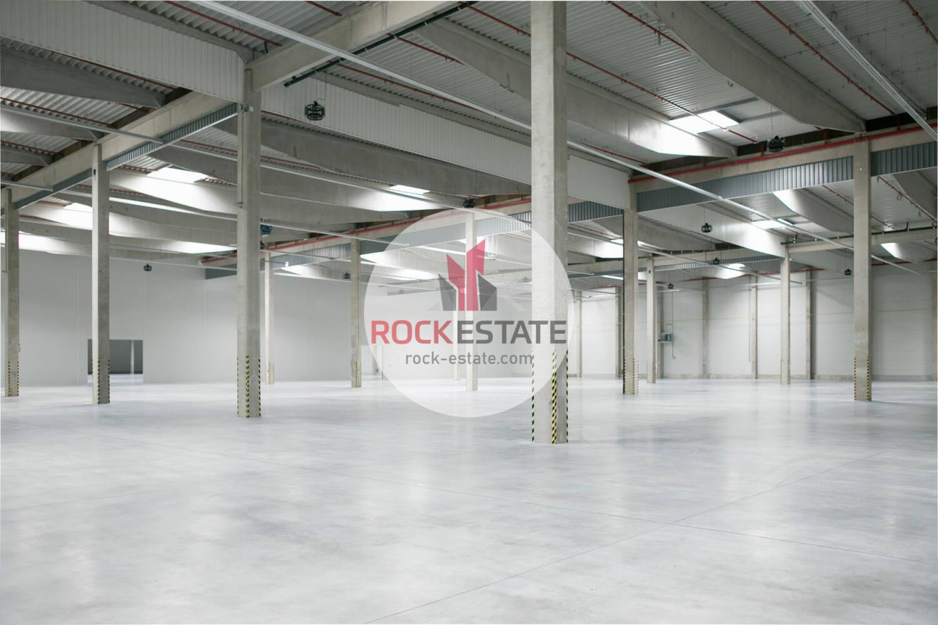 Nowy magazyn od 10 000 m² na wynajem - 0% prowizji - Widok 5