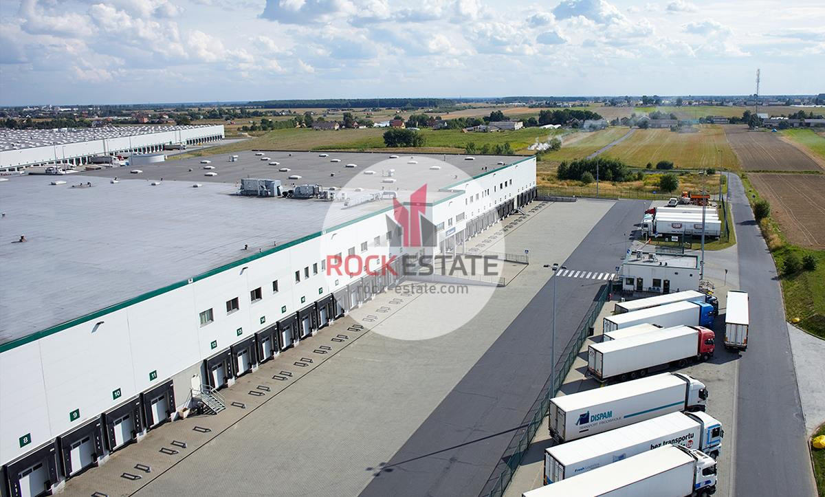 Magazyn Piotrków 11 tyś m2 - 0% prowizji - Widok 4