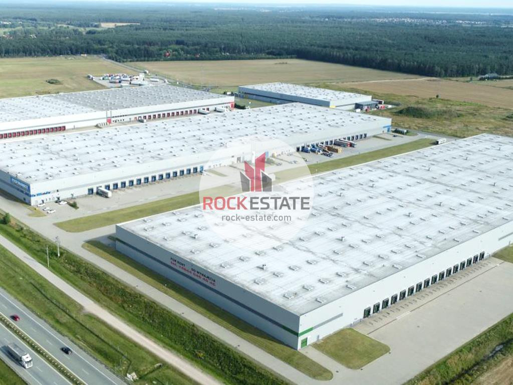 Magazyn 5885 m² w Piotrkowie - od zaraz - 0% prow - Widok 3