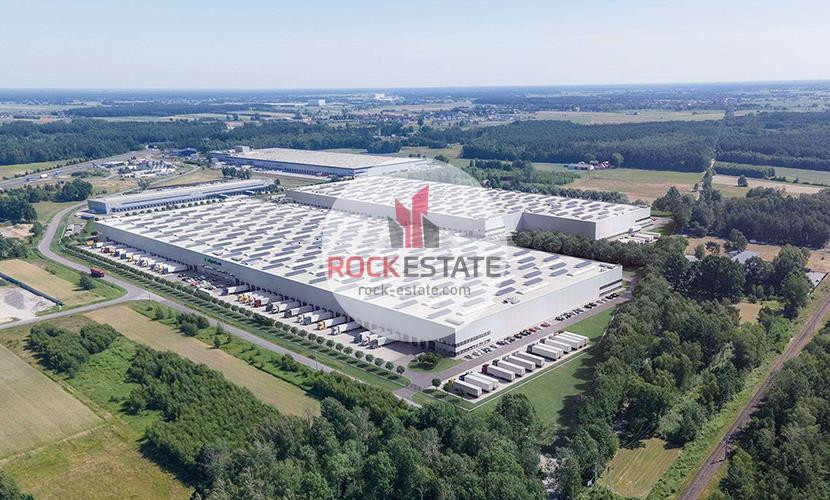 Nowy magazyn 5300 m² w Emilianowie - 0% prowizji - Widok 5
